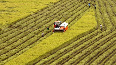Tạo bước chuyển mạnh mẽ cho nông nghiệp – nông dân (02/09/2016)