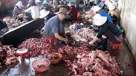 Làm hại lẫn nhau (13/9/2016)