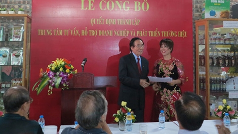 Các giải pháp hỗ trợ doanh nghiệp xây dựng và phát triển thương hiệu. (06/9/2016)