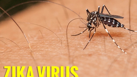 70 quốc gia, vùng lãnh thổ ghi nhận sự lây truyền virus Zika, hôm nay, Bộ Y tế có công văn khẩn  đề nghị các địa phương tăng cường công tác phòng chống dịch bệnh do virus Zika (Thời sự chiều 5/9/2016)