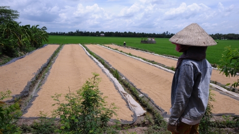 Tâm thế của nông dân trước đô thị hóa (26/01/2017)
