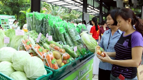 Để ngày Tết là triển lãm của nông sản Việt (26/01/2017)