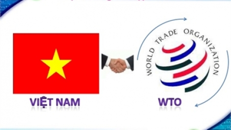 Bài học kinh nghiệm sau 10 năm gia nhập Tổ chức Thương mại thế giới (WTO) (11/1/2017)