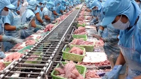 VASEP phản đối thông tin sai sự thật của Đài Truyền hình Cuatro (Tây Ban Nha) về chất lượng cá tra Việt Nam (Thời sự trưa 22/01/2017)