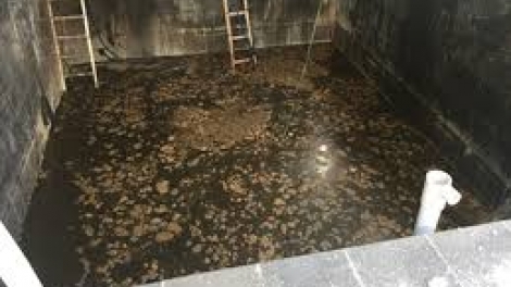 Tỉnh Phú Yên họp báo thông tin chi tiết về vụ 5 công nhân tử vong trong hầm làm nước mắm của Công ty Cổ phần Food Tech (Thời sự chiều 13/01/2017)