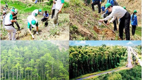 Phát triển kinh tế gắn với bảo vệ môi trường (11/1/2017)