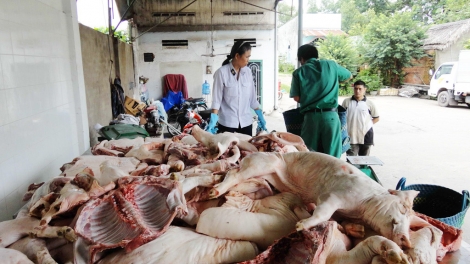 Vì sao thực phẩm “bẩn” từ biên giới vẫn tràn vào nội địa (9/1/2017)