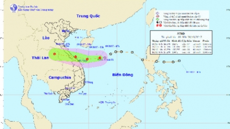 Áp thấp nhiệt đới đang tiến gần khu vực từ Quảng Bình đến Đà Nẵng, dự báo chiều tối nay sẽ đổ bộ vào khu vực này và gây mưa lớn trên diện rộng (Thời sự trưa 9/10/2017)