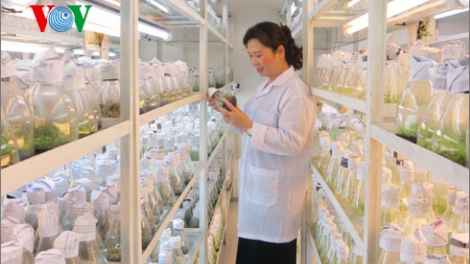 Các nhà nữ khoa học với nghiên cứu vị nhân sinh (20/10/2017)