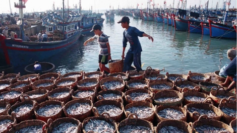 Ngành thủy sản với nhiệm vụ phát triển kinh tế biển và bảo vệ chủ quyền biển, đảo Tổ quốc (01/10/2017)