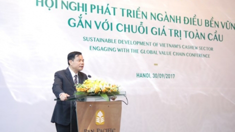 Cần làm gì để phát triển cây điều và các sản phẩm từ điều bền vững? (03/10/2017)