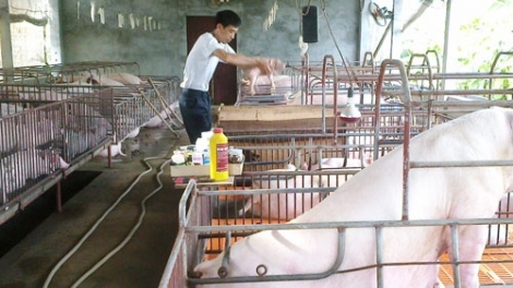 Thay đổi tư duy sản xuất để xây dựng nông thôn mới  (17/10/2017)