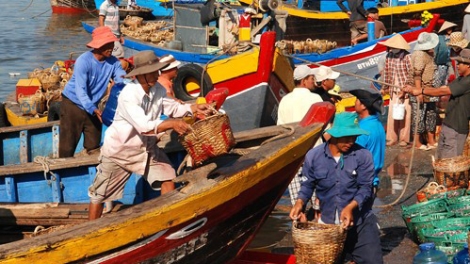 Ninh Thuận: Tín hiệu vui từ khai thác thủy sản (6/10/2017)