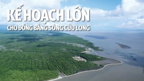 Đồng bằng Sông Cửu Long: Nguồn lực nào để thực hiện Chiến lược quốc gia về tăng trưởng (20/11/2017)