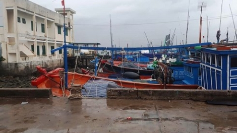 Mặc dù bão số 14 đã suy yếu thành áp thấp nhiệt đới nhưng chính quyền địa phương và người dân khu vực ven biển từ Thanh Hóa đến Phú Yên không chủ quan vì áp thấp có khả năng gây mưa to, gió lớn tiềm ẩn nhiều rủi ro (Thời sự trưa 19/11/2017)