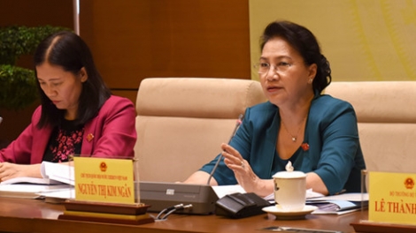 Chủ tịch Quốc hội Nguyễn Thị Kim Ngân ủng hộ bổ sung hình thức tố cáo qua thư điện tử, điện thoại (Thời sự chiều 8/11/2017)