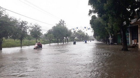 Mưa lớn, một số hồ thủy điện xả lũ làm nước sông dâng cao tại các tỉnh Nam Trung Bộ  (Thời sự trưa 26/11/2017)
