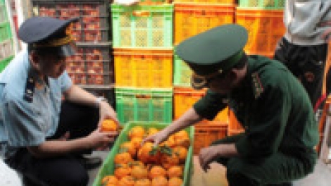 Bao giờ kiểm tra chuyên ngành không còn là "ác mộng" đối với doanh nghiệp. (22/11/2017)