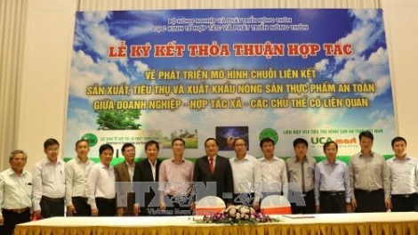 Hình thành trung tâm kết nối sản xuất tiêu thụ nông sản từ mô hình chuỗi liên kết (16/11/2017)