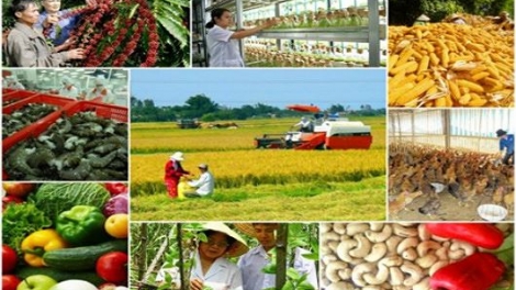Tín dụng nông nghiệp nông thôn: Điểm nghẽn cần tháo gỡ (17/11/2017)