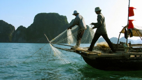 Nghị định 103 về quy định xử phạt vi phạm hành chính trong hoạt động thủy sản (10/11/2017)