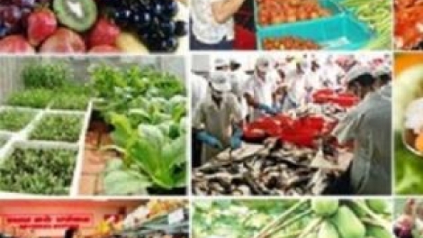 Kỹ sư Phạm Tiến Duật với những trăn trở để người tiêu dùng được sử dụng thực phẩm đảm bảo an toàn vệ sinh thực phẩm. (27/11/2017)