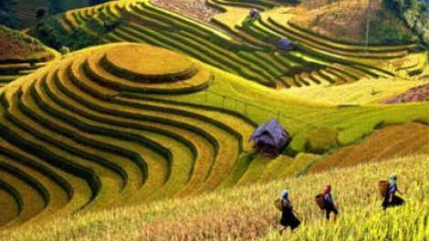 Tây Bắc- nhiều cơ hội phát triển nông nghiệp  (26/11/2017)