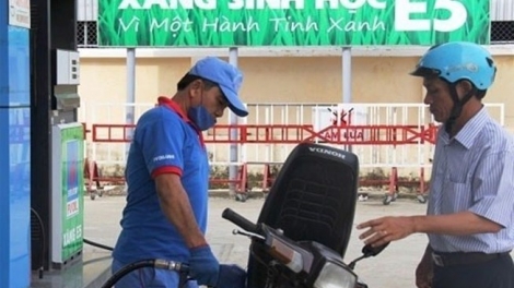 Sản xuất xăng sinh học cần sự chuẩn bị kỹ lưỡng (30/11/2017)