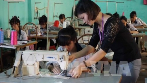 Công tác đào tạo nghề cho lao động ở nông thôn chưa đáp ứng nhu cầu (11/12/2017)