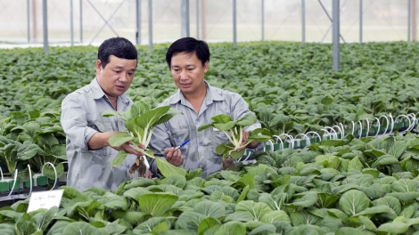 Phải làm gì để phát triển nông nghiệp hữu cơ  (19/12/2017)