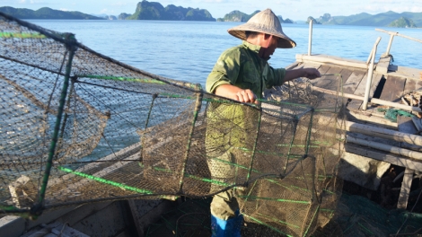 Sử dụng đường dây nóng trong khai thác thủy sản như thế nào nhằm chống đánh bắt bất hợp pháp (24/12/2017)