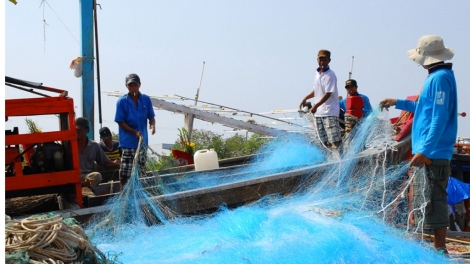 Bảo tồn biển bền vững, cần thay đổi nhận thức của ngư dân và địa phương  (01/12/2017)