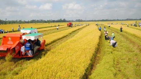 Tích tụ ruộng đất phải đảm bảo hài hòa lợi ích của nhà nước, doanh nghiệp và người dân (21/12/2017)
