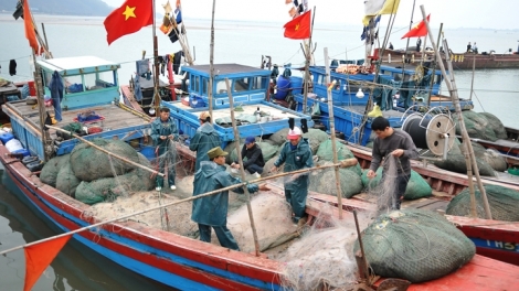 Nâng cao nhận thức, gắn vai trò, trách nhiệm của ngư dân đối với hoạt động bảo vệ nguồn lợi thủy sản (26/2/2017)