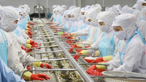 Ngành tôm với mục tiêu xuất khẩu 10 tỷ USD năm 2025 (16/02/2017)