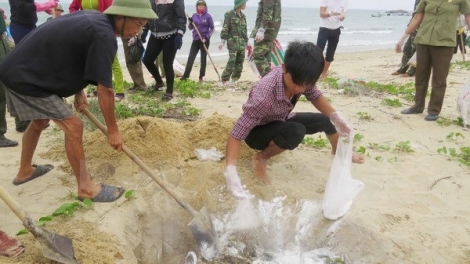 Xem xét kỷ luật các cá nhân sai phạm liên quan đến vụ Formosa Hà Tĩnh, trong đó có ông Võ Kim Cự, Chủ tịch UBND tỉnh Hà Tĩnh nhiệm kỳ 2011-2016. (Thời sự chiều 22/02/2017)