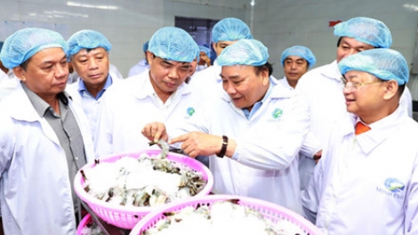 Để trở thành công xưởng tôm thế giới (16/02/2017)
