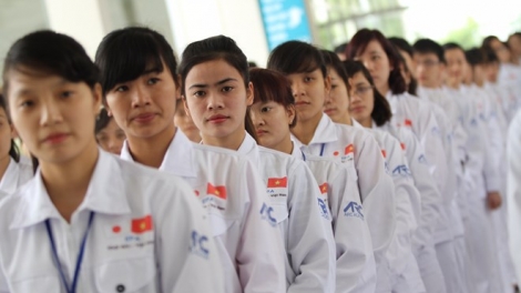 Tư vấn về thị trường lao động Nhật Bản (26/2/2017)