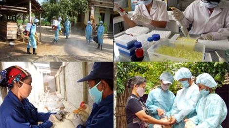 Nhiều địa phương chủ động ngăn chặn nguy cơ bùng phát dịch cúm gia cầm (Thời sự đêm 23/2/2017)