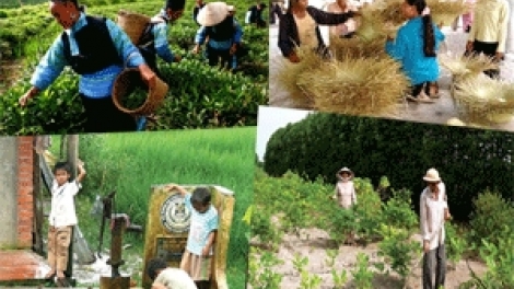 Tăng cường đầu tư cho vùng miền núi, vùng đồng bào dân tộc thiểu số xây dựng nông thôn mới (28/2/2017)