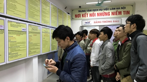 Đưa cử nhân thất nghiệp đi làm việc tại nước ngoài, liệu có khả thi? (21/02/2017)