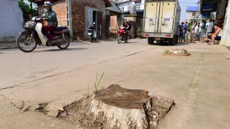 Làm việc vì dân, xin đừng máy móc (27/3/2017)