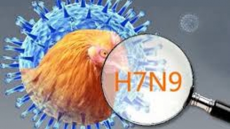 Chủ động phòng chống dịch cúm A/H7N9 ở các tỉnh biên giới (04/3/2017)