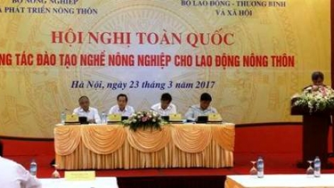 Những bất cập trong việc đào tạo nghề cho lao động nông thôn hiện nay (24/3/2017)