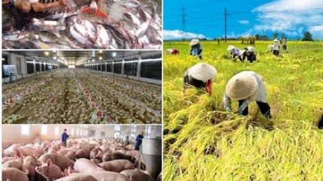 Sửa đổi chính sách, tháo gỡ điểm nghẽn lớn nhất trong sản xuất nông nghiệp (16/3/2017)