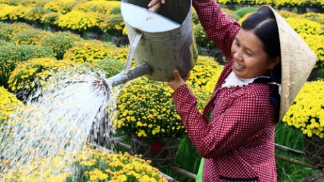 Thời của trí tuệ thông minh, robot và tiếng nói của phụ nữ (08/3/2017)