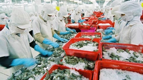 Giải pháp nào để ngành tôm hoàn thành mục tiêu xuát khẩu 10 tỷ USD (07/3/2017)