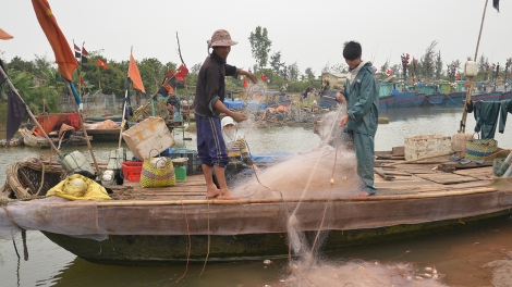 Thiếu lao động nghề biển: Vì sao? (01/5/2017)