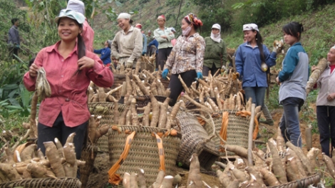 Nhân rộng mô hình làng ứng phó thông minh với biến đổi khí hậu ở nước ta hiện nay (3/4/2017)