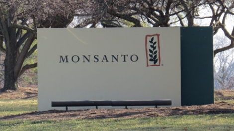 Tòa án Quốc tế kết tội tập đoàn Monsanto hủy diệt môi trường và hệ sinh thái nhiều nước, trong đó có Việt Nam (Thời sự đêm 20/4/2017)